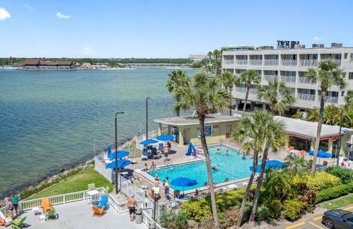 Sunset Paradise - Find yourself in Tampa - Photo 32