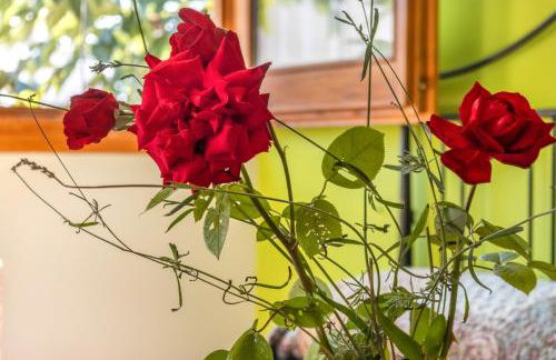 Casa Ramona - Foto 28