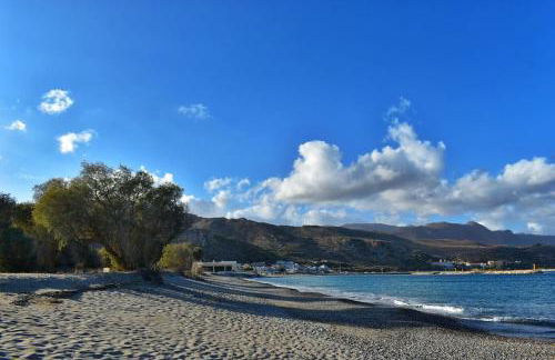 The Green Home - Foto 69