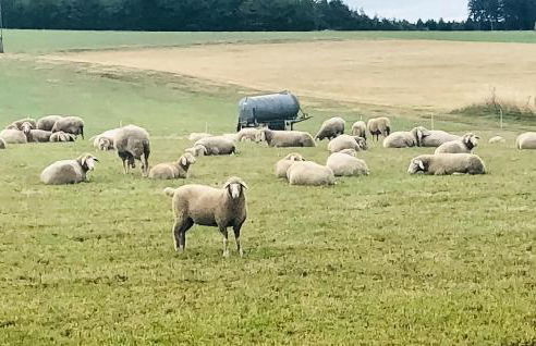 Awesome Home In Müllenbach With Kitchen - Foto 36