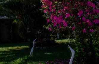 Casa em condomínio com piscina - Foto 31