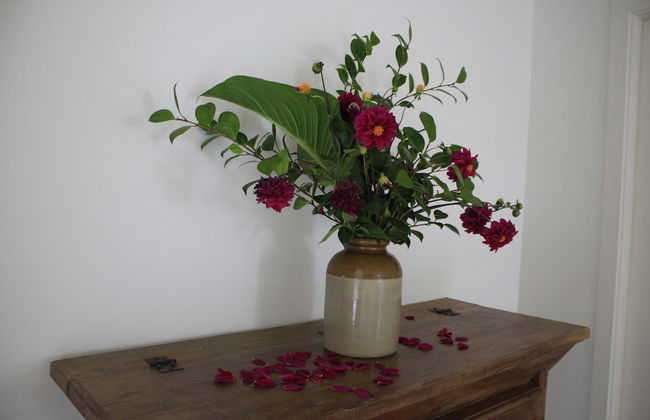 Casa da Cisaltina - Foto 64