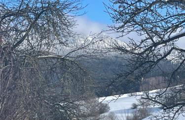 Ferienwohnung Eifler - Foto 25