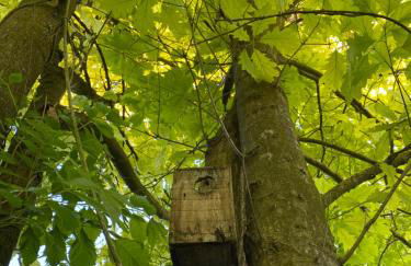 Locanda Del Molino Vecchio - Foto 25