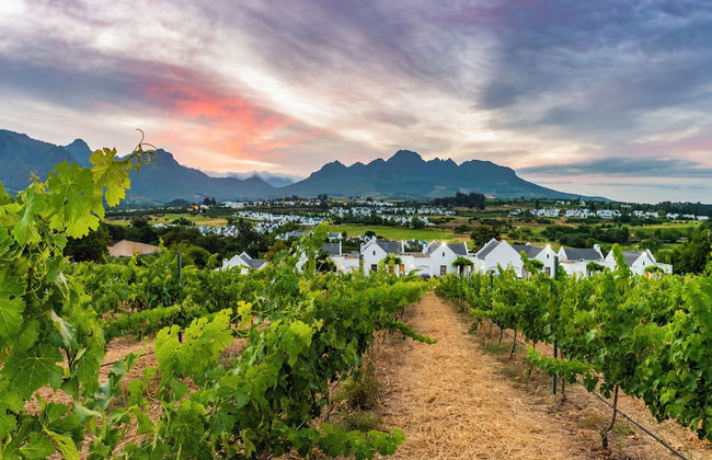 De Zalze Lodge - Foto 35