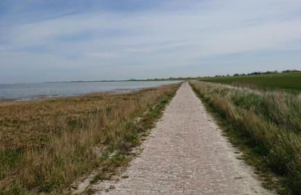 Ferienhaus Möwe - Foto 24