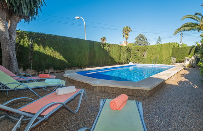 Dofins Bahia Azul - Foto 22