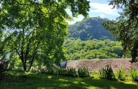 L'Aristoloche - Foto 21