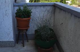 Apartment PinoAppLosinj - Foto 16