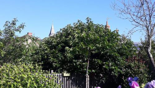 Maison de charme avec piscine, proche de la Creuse et attractions touristiques - FR-1-591-62 - Foto 3