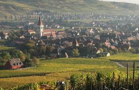 Chez Delphine - Foto 16