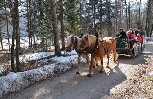 La Mosa - Villa ai Prati di Cavedago, nel comprensorio del parco Adamello-Brenta - Photo 14