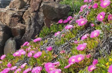 laArenaconfort - Foto 19