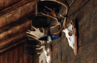 Ruralna kuća OPG Francek - Foto 42