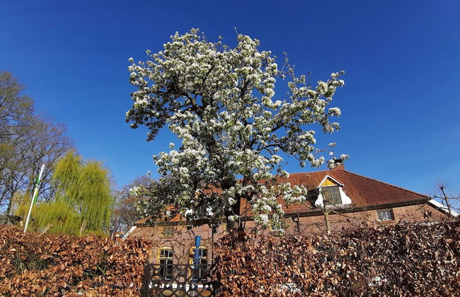 Spacious Holiday Home in Rekken With Hot Tub - Foto 38