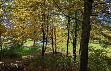 Pond View Cabin Brought to you by GetAway Vacations - Photo 23