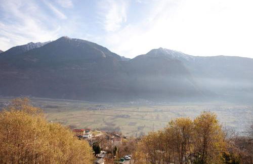 Oasi Alpina - Foto 5