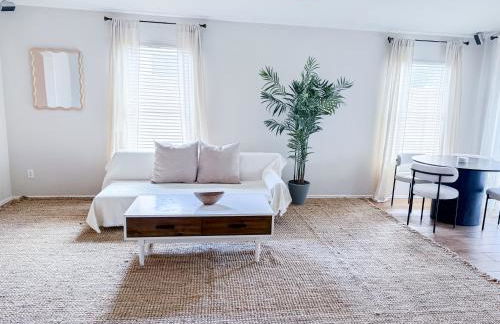 Cactus Bonito - Foto 20