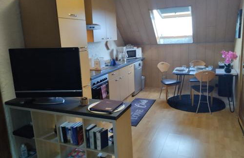 Ferienwohnung Am Vulkanpfad - Foto 24