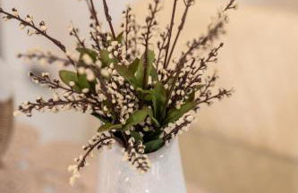 Sea and sun - Photo 78