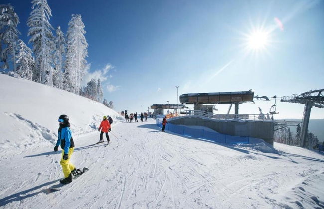 Lavish Holiday Home in Abertamy near Ski Area - Photo 37