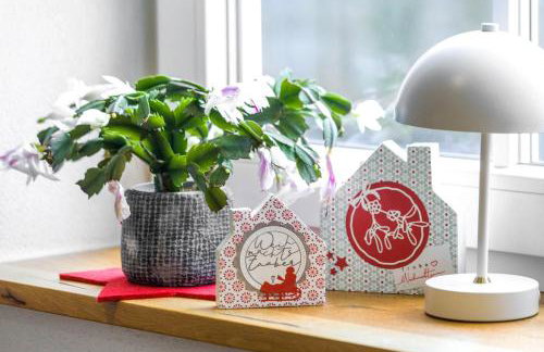 Ferienwohnungen Vogelsang - Photo 53