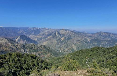 La Casetta di Maria - Foto 12