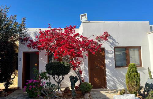 Kali Holiday Apartments - Foto 19