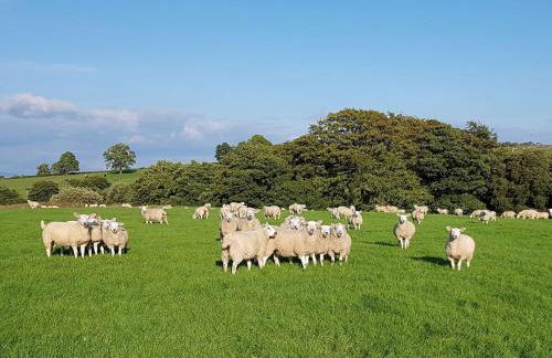 Stone Mouse Cottage - Foto 17