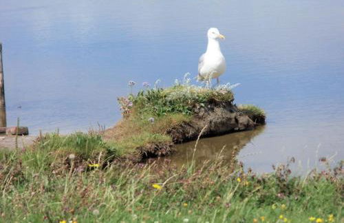 Haus Halligblick - Foto 69