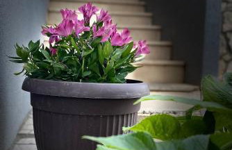 Apartmani Roxy - Foto 7