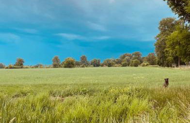 Gartenwohnung Appartements am Radweg stille Pauline - Photo 18
