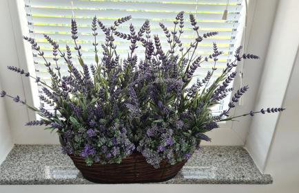 Vila Primorka Apartmani Oleander - Foto 51