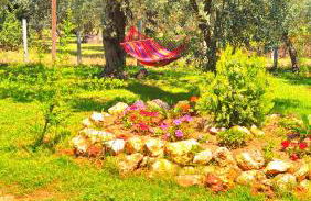 Sunray Separate Villa - Photo 5