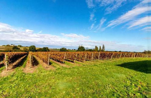 Manoir Les Touches - Gîtes - Photo 27