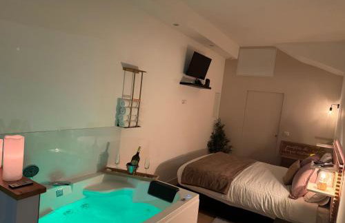 Perle Dazur Jacuzzi Suite Parking Prive 5min Mer - Foto 7