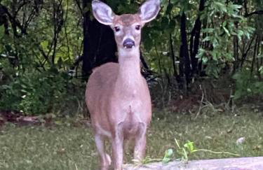 Private Oasis Near Lake Michigan & Warren Dunes! - Foto 26