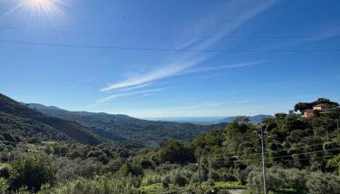 Casa Vacanza Ginevra - Foto 5, Garden