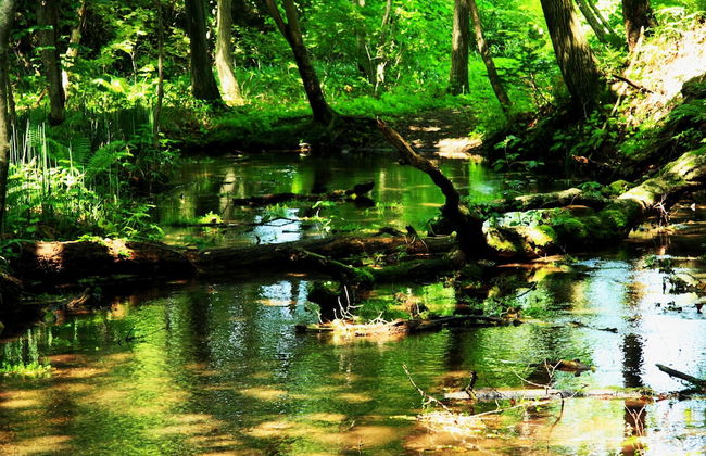 PRIMAL 2002 - Photo 63