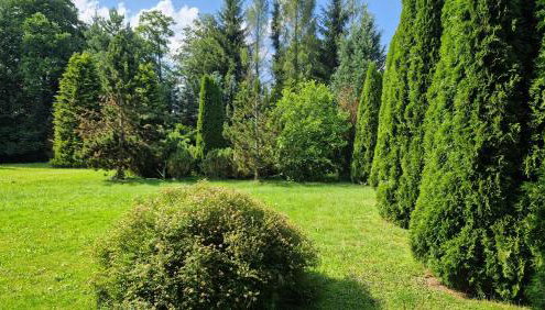 Agroturystyka Nad Cichą - Foto 4