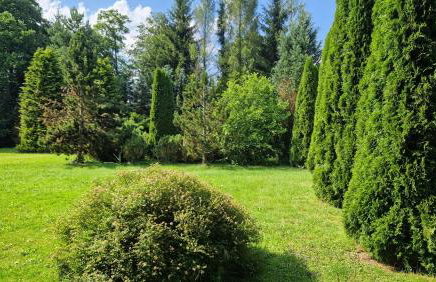 Agroturystyka Nad Cichą - Foto 4