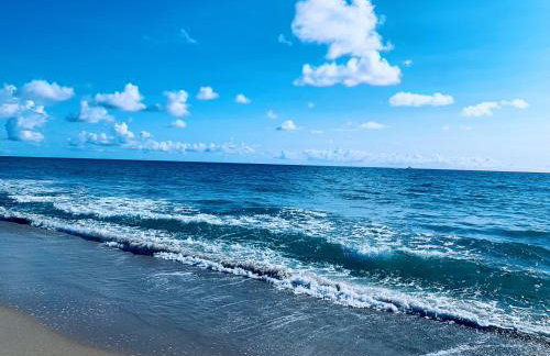 Palm Beach Island Condominiums - Photo 65