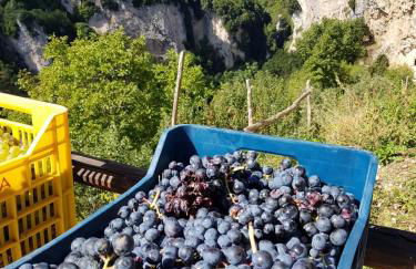 Agriturismo Orrido di Pino - Foto 78