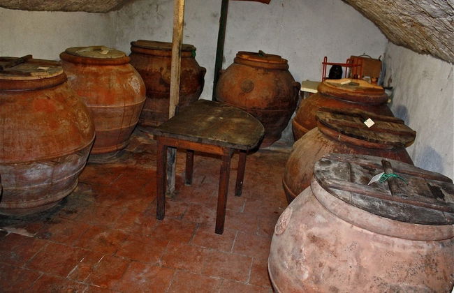 Agriturismo Fattoria di Castiglionchio - Foto 52