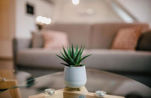 Résidence Les Charmes - Foto 14