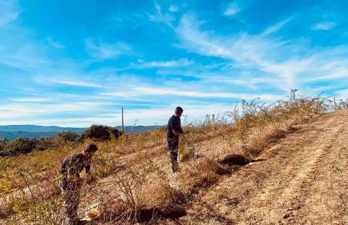 Agriturismo Il Riccio - Foto 35