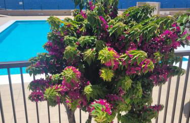 Atlantic View Tenerife South - Foto 22