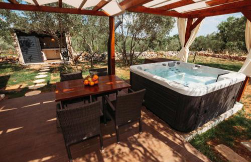 Capesanta atraktivna kamena kučica - Foto 6