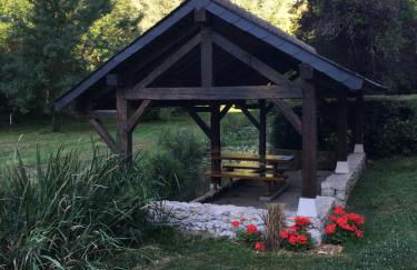 Le Rin de la fôret - Foto 14