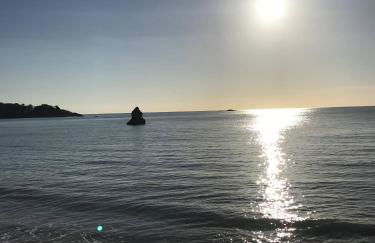 La Metairina - Foto 23